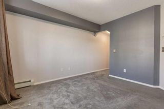 Photo 22: 1210 115 Prestwick Villas SE in Calgary: McKenzie Towne Apartment for sale : MLS®# A2125964