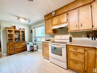 Photo 23: 174 Willow Drive: Wetaskiwin House for sale : MLS®# E4305362