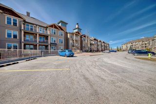 Photo 28: 323 207 Sunset Drive: Cochrane Apartment for sale : MLS®# A2122629