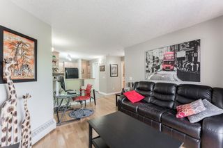 Photo 10: 304 60 38A Avenue SW in Calgary: Parkhill Apartment for sale : MLS®# A1113722