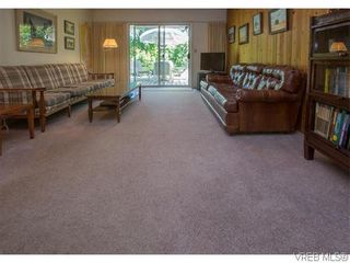 Photo 10: 829 Leota Pl in VICTORIA: SE Cordova Bay House for sale (Saanich East)  : MLS®# 742454