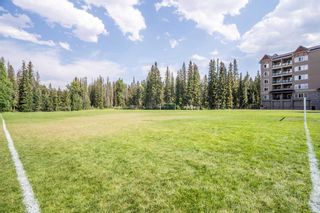 Photo 27: 103 30 Discovery Ridge Close SW in Calgary: Discovery Ridge Apartment for sale : MLS®# A2068912