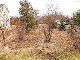 Photo 7: Lot 3 Pleasant Street in Wolfville: Kings County Vacant Land for sale (Annapolis Valley)  : MLS®# 202405717