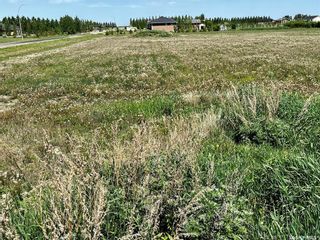 Photo 9: 35 Maple Drive in Rosthern: Lot/Land for sale (Rosthern Rm No. 403)  : MLS®# SK954493