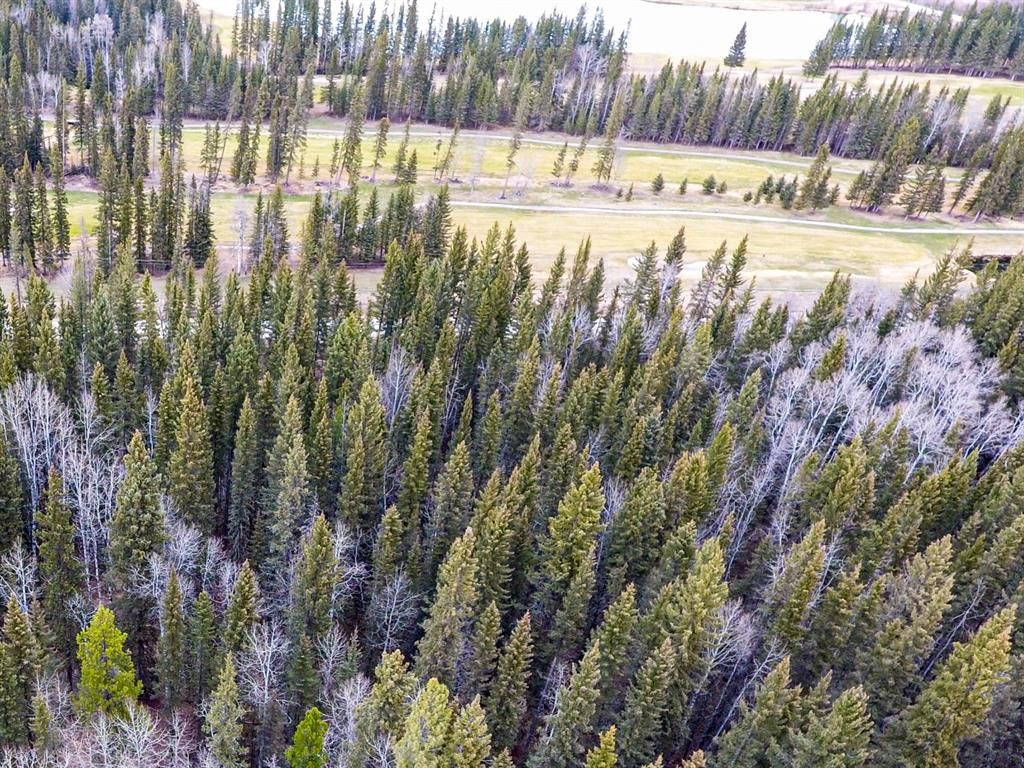Main Photo: 234 Wintergreen Road: Bragg Creek Residential Land for sale : MLS®# A1217327