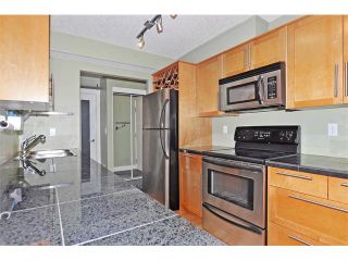 Photo 9: 302 333 5 Avenue NE in Calgary: Crescent Heights Condo for sale : MLS®# C4024075
