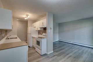 Photo 7: 914 11620 Elbow Drive SW in Calgary: Canyon Meadows Apartment for sale : MLS®# A2003502