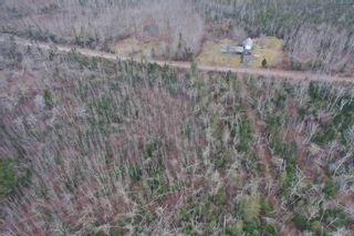Photo 5: Heathbell Road in Scotch Hill: 108-Rural Pictou County Vacant Land for sale (Northern Region)  : MLS®# 202302518