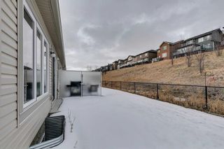 Photo 19: 217 Sunset Point: Cochrane Row/Townhouse for sale : MLS®# A2120759