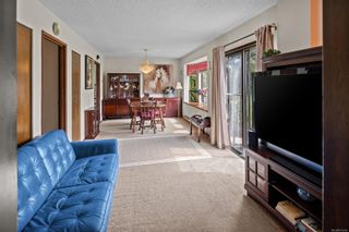Photo 19: 4278 Pepin Crt in Saanich: SW Northridge House for sale (Saanich West)  : MLS®# 911243