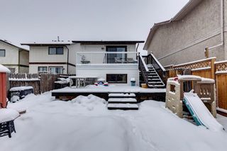 Photo 32: 136 Templeby Place NE in Calgary: Temple Detached for sale : MLS®# A2014762