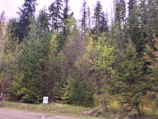 Photo 39: 3,4,6 Armstrong Road in Eagle Bay: Vacant Land for sale : MLS®# 10133907