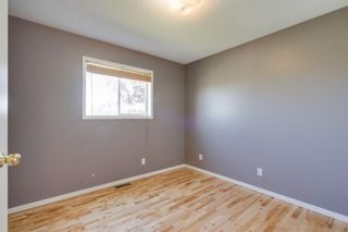 Photo 17: 133 HIDDEN SPRING Circle NW in Calgary: Hidden Valley Detached for sale : MLS®# A1025259