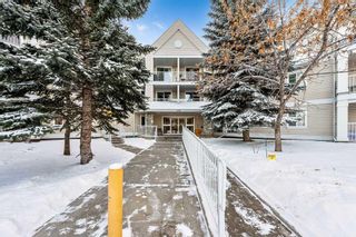 Main Photo: 1304 11 Chaparral Ridge Drive SE in Calgary: Chaparral Apartment for sale : MLS®# A2100481