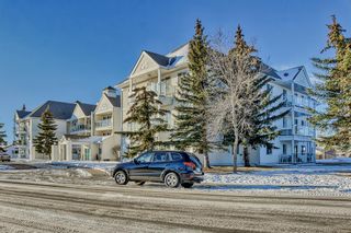 Photo 43: 205 309 Woodside Drive NW: Airdrie Apartment for sale : MLS®# A2012909