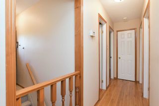 Photo 9: 359 S Jelly Street: Shelburne House (Bungalow) for sale : MLS®# X4446220