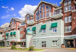 Photo 19: 313 1151 Sidney Street: Canmore Apartment for sale : MLS®# A1233204