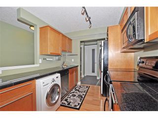 Photo 10: 302 333 5 Avenue NE in Calgary: Crescent Heights Condo for sale : MLS®# C4024075