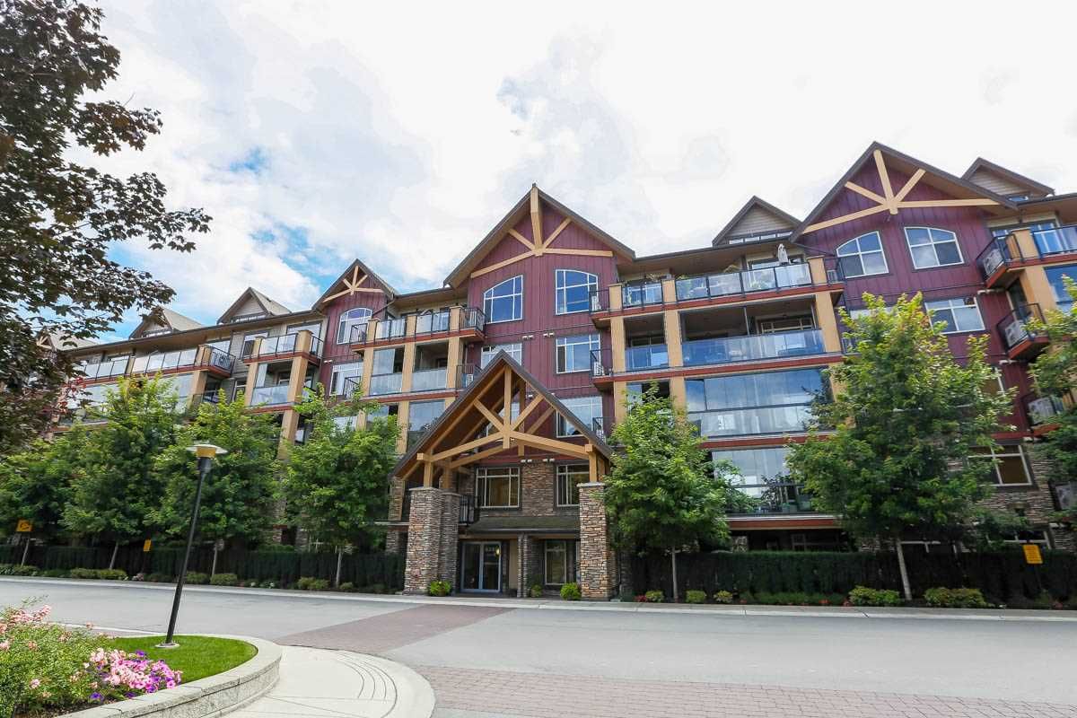 Main Photo: 226 8288 207A Street in Langley: Willoughby Heights Condo for sale in "YORKSON CREEK" : MLS®# R2096294
