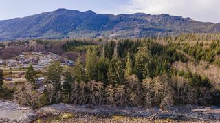 Photo 4: 1198 Front St in Ucluelet: PA Salmon Beach Land for sale (Port Alberni)  : MLS®# 899666