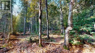 Photo 19: 6 Sandy Point Road in Manitowaning: Vacant Land for sale : MLS®# 2112427