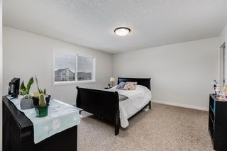 Photo 19: 1794 Baywater Street SW: Airdrie Detached for sale : MLS®# A2040538