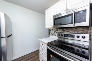 Photo 4: 503 30 Mchugh Court NE in Calgary: Mayland Heights Apartment for sale : MLS®# A2136458