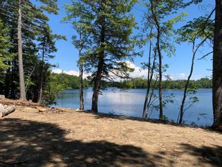 Photo 3: Lot 99A Ramey Road in Buckfield: 406-Queens County Vacant Land for sale (South Shore)  : MLS®# 202214711