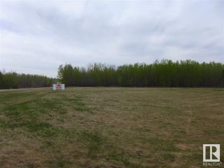 Photo 18: 50 Ave RR 281: Rural Wetaskiwin County Vacant Lot/Land for sale : MLS®# E4299520