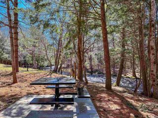 Photo 41: 894 Fales River Drive in Greenwood: Kings County Residential for sale (Annapolis Valley)  : MLS®# 202406124