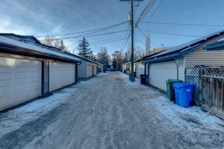 Photo 47: 725 55 Avenue SW in Calgary: Windsor Park Detached for sale : MLS®# A2018237