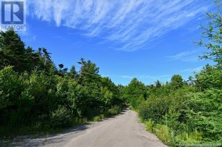 Photo 16: 28 Fundy Drive in Wilsons Beach: Vacant Land for sale : MLS®# NB102555