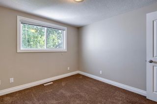 Photo 19: 3907 29 Avenue SE in Calgary: Dover Row/Townhouse for sale : MLS®# A1229357