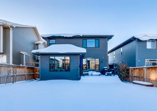 Photo 48: 40 CRANBROOK Circle SE in Calgary: Cranston Detached for sale : MLS®# A2006840