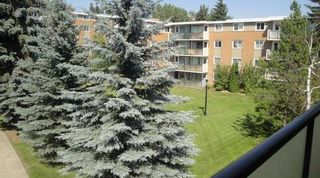 Photo 13: 311 1616 8 Avenue NW in Calgary: Hounsfield Heights/Briar Hill Apartment for sale : MLS®# A2059245