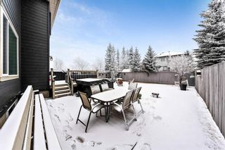 Photo 42: 33 Thornbird Rise SE: Airdrie Detached for sale : MLS®# A1189064