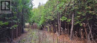 Photo 48: 0 LAKESHORE Road in Clarington: Vacant Land for sale : MLS®# 40343987