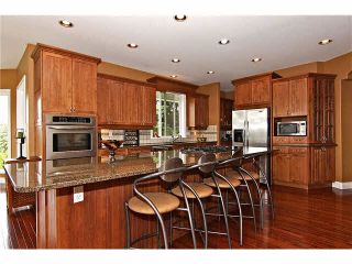 Photo 6: 30041 HARRIS Road in Abbotsford: Bradner House for sale : MLS®# F1447614