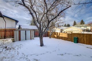 Photo 29: 212 Rundlefield Road NE in Calgary: Rundle Detached for sale : MLS®# A1166043