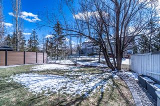 Photo 33: 59 Schooner Close NW in Calgary: Scenic Acres Detached for sale : MLS®# A2120334