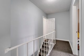 Photo 20: 212 7007 4A Street SW in Calgary: Kingsland Apartment for sale : MLS®# A1112502