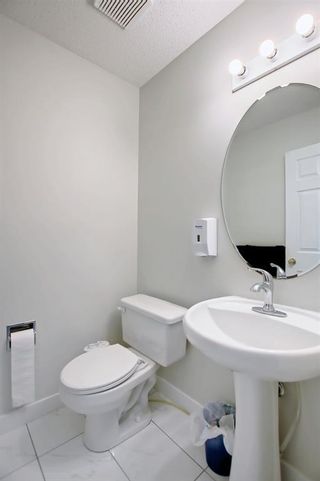 Photo 18: 14 Coral Springs Gardens NE in Calgary: Coral Springs Detached for sale : MLS®# A1224849