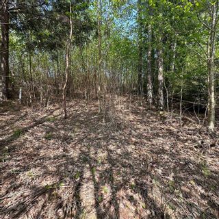 Photo 17: Lot 9EF-2 Raspberry Court in Italy Cross: 405-Lunenburg County Vacant Land for sale (South Shore)  : MLS®# 202309685