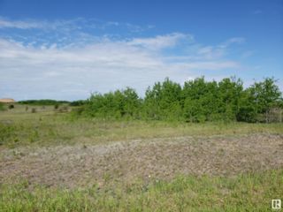 Photo 8: RR60 Twp 565: Rural St. Paul County Land Commercial for sale : MLS®# E4315897