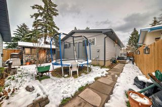 Photo 43: 3431 32A Avenue SE in Calgary: Dover Detached for sale : MLS®# A2126947