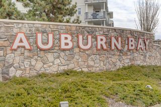 Photo 43: 99 Auburn Bay Crescent SE in Calgary: Auburn Bay Detached for sale : MLS®# A2123647