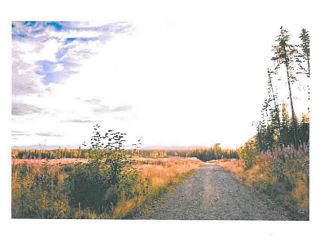 Photo 13: LOT 9 BELL Place in Mackenzie: Mackenzie -Town Land for sale in "BELL PLACE" : MLS®# N227302