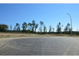 Photo 13: LOT 2 BELL Place in Mackenzie: Mackenzie -Town Land for sale in "BELL PLACE" : MLS®# N227294