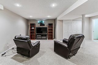 Photo 30: 139 Appletree Close SE in Calgary: Applewood Park Detached for sale : MLS®# A1022936