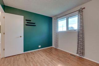 Photo 16: 6807 24 Avenue NE in Calgary: Pineridge Detached for sale : MLS®# C4258740